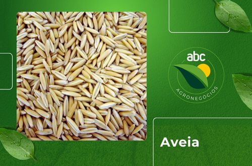 Aveia