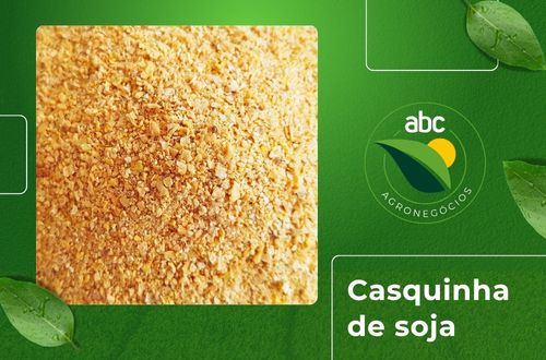 Casquinha de Soja