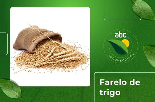 Farelo de Trigo